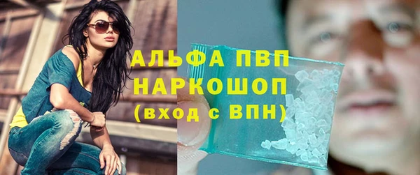 ПСИЛОЦИБИНОВЫЕ ГРИБЫ Балабаново