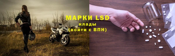 ПСИЛОЦИБИНОВЫЕ ГРИБЫ Балабаново