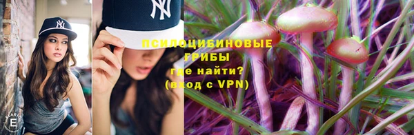 дживик Баксан